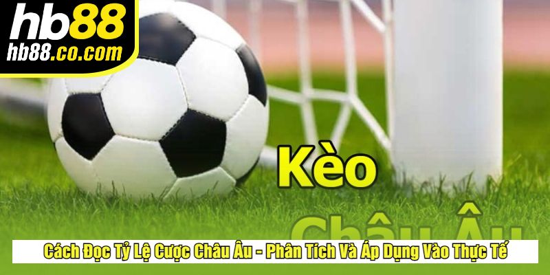 Cách Đọc Tỷ Lệ Cược Châu Âu - Phân Tích Và Áp Dụng Vào Thực Tế