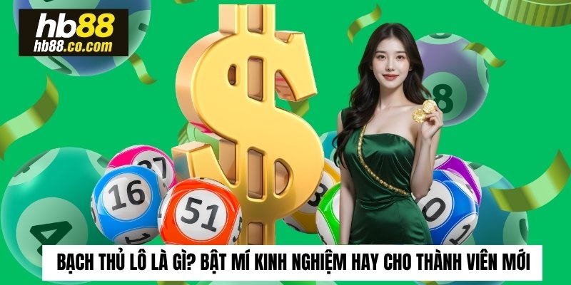 Bạch Thủ Lô Là Gì? Bật Mí Kinh Nghiệm Hay Cho Thành Viên Mới