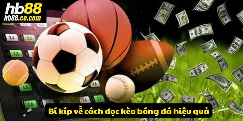 Bí kíp nhỏ về cách đọc kèo bóng đá hiệu quả