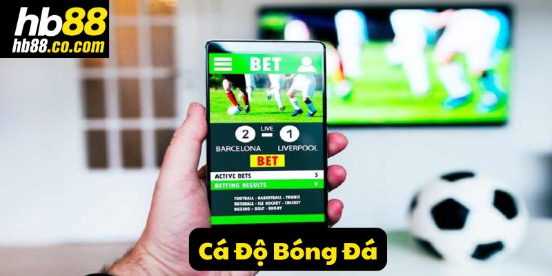 Bỏ Túi Ngay Những Mẹo Hay Cá Độ Bóng Đá Luôn Thắng Từ HB88