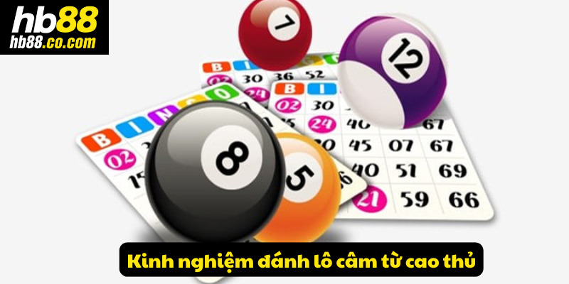 Kinh nghiệm đánh lô câm bách phát bách trúng từ cao thủ