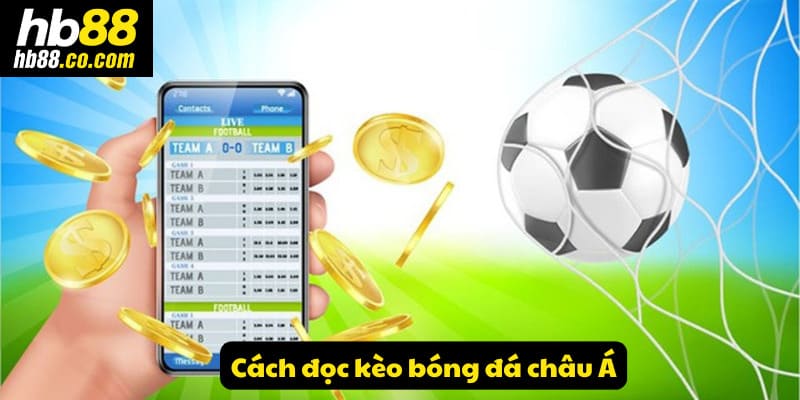 Tìm hiểu cách đọc kèo bóng đá châu Á chuẩn nhất