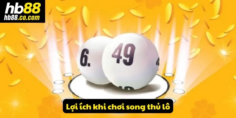 Lợi ích khi chơi song thủ lô