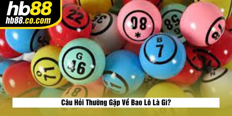 Câu Hỏi Thường Gặp Về Bao Lô Là Gì?