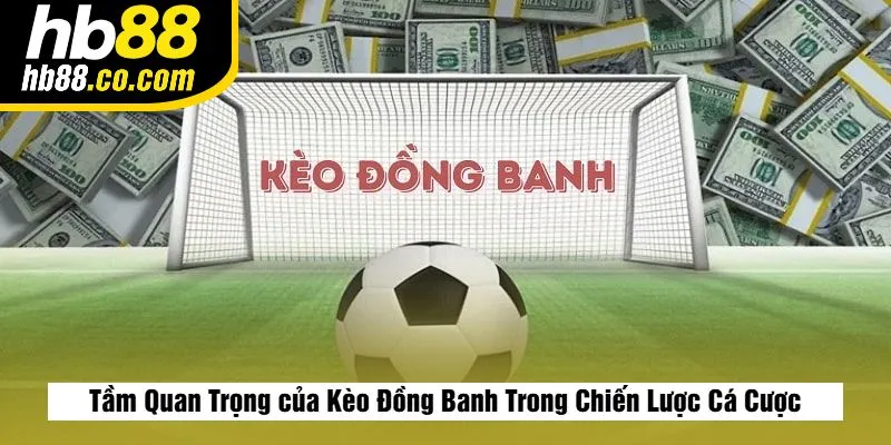 Tầm Quan Trọng của Kèo Đồng Banh Trong Chiến Lược Cá Cược