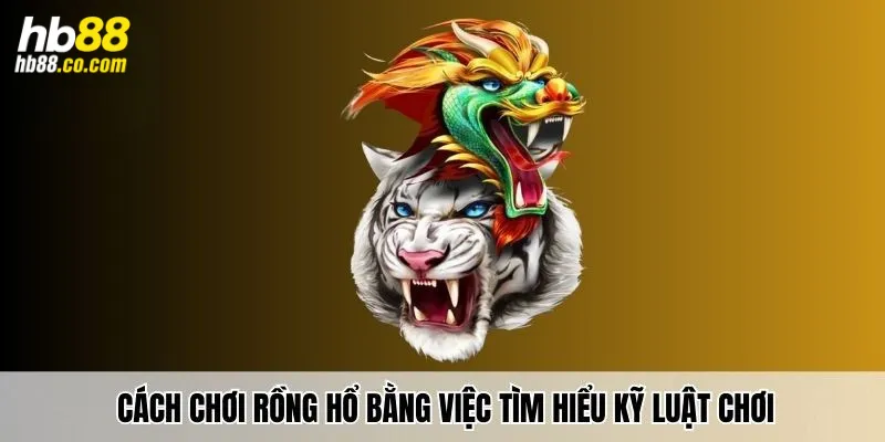 Cách chơi rồng hổ bằng việc tìm hiểu kỹ luật chơi