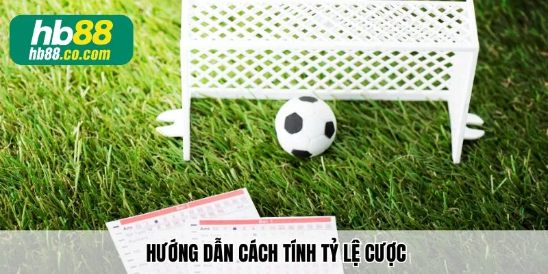 Hướng dẫn cách tính tỷ lệ cược